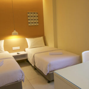 Standard Twin Room With Windows
